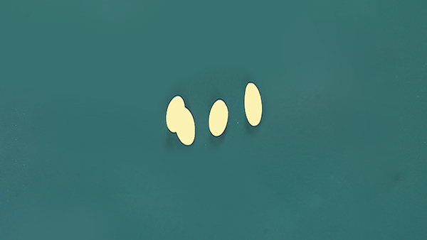 蛤殼制(zhì)成的盒子(zǐ)你(nǐ)聽說了(le)嗎?-可(kě)降解(jiě)材料